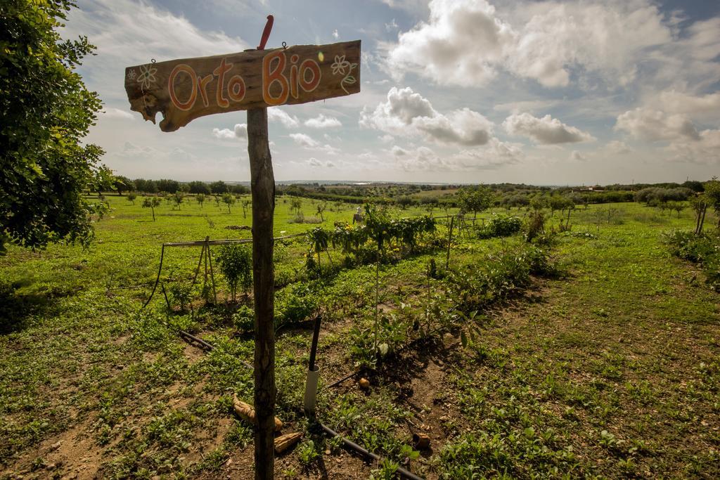 Don Ignazio Agroturismo *