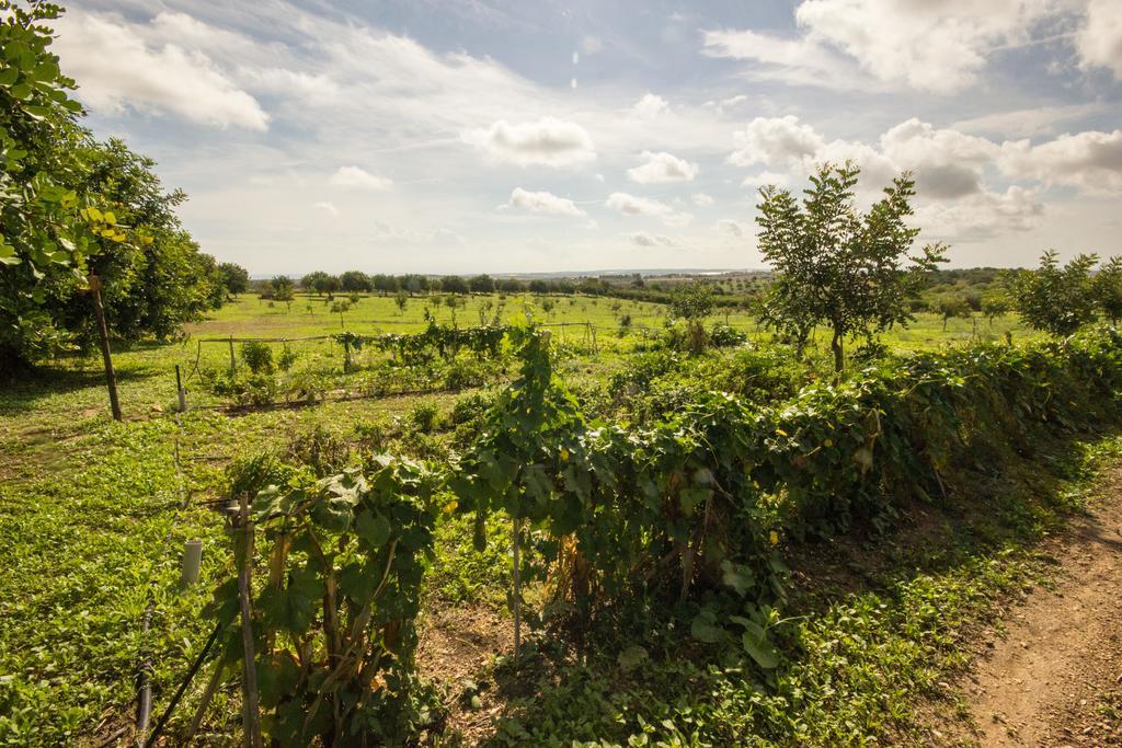 Séjour à la ferme Don Ignazio